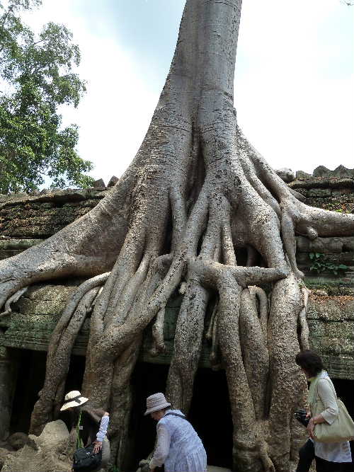 Cambodia3.JPG