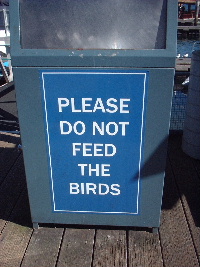 dontfeed.JPG