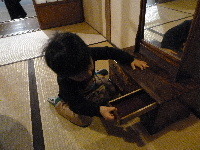 edo1.JPG
