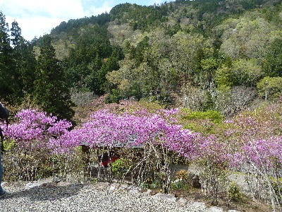 kyouto5.JPG