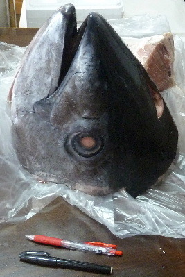 maguro1.JPG