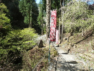 ogano1.JPG