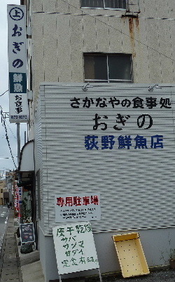 ogino1.JPG