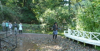 rosia8.JPG