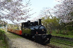 satoyama3.JPG