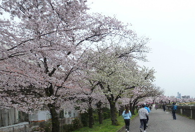 sumida.JPG