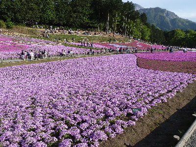 titibu1.JPG